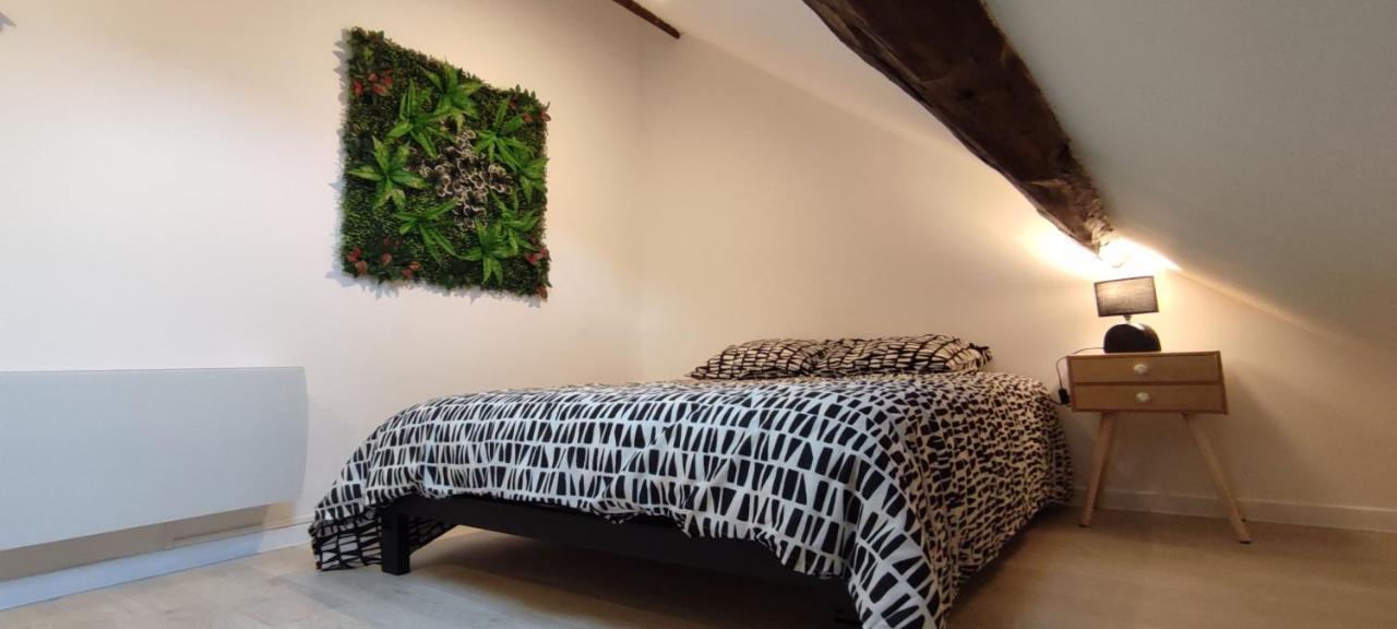 202 Duplex A Colombage En Plein Centre Ville Бурж Екстериор снимка
